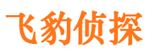 洪江外遇调查取证